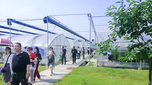 培訓班頂著酷暑考察蕭山區農科所臨浦基地 培訓班頂著酷暑考察蕭山區農科所臨浦基地