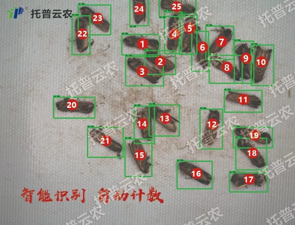 識別計數 識別計數