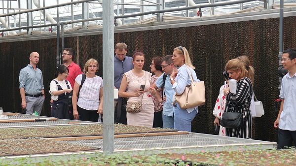 研修班一行來到由免费看片黄與蕭山農科所聯合搭建的現代農業產業園進行考察 研修班一行來到由免费看片黄與蕭山農科所聯合搭建的現代農業產業園進行考察