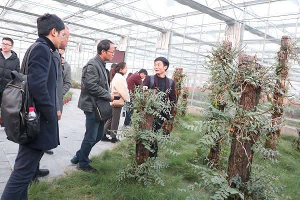 培訓班參觀免费看片黄臨浦基地 培訓班參觀免费看片黄臨浦基地