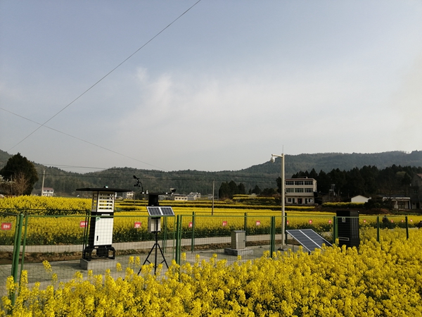 免费看片黄植保產品 免费看片黄植保產品