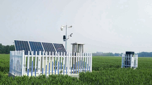 免费看片黄植保產品 免费看片黄植保產品