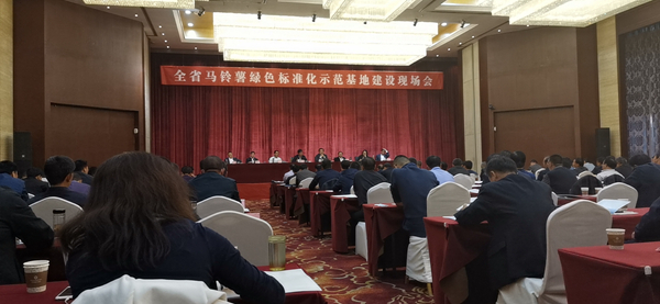 甘肅省全省馬鈴薯綠色標準化示範基地建設現場會在定西市安定區召開 甘肅省全省馬鈴薯綠色標準化示範基地建設現場會在定西市安定區召開