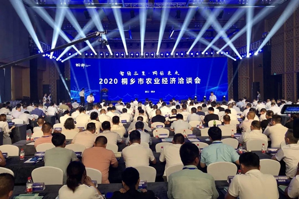 “智領三農·桐創未來”2020桐鄉市農業經濟洽談會現場 “智領三農·桐創未來”2020桐鄉市農業經濟洽談會現場