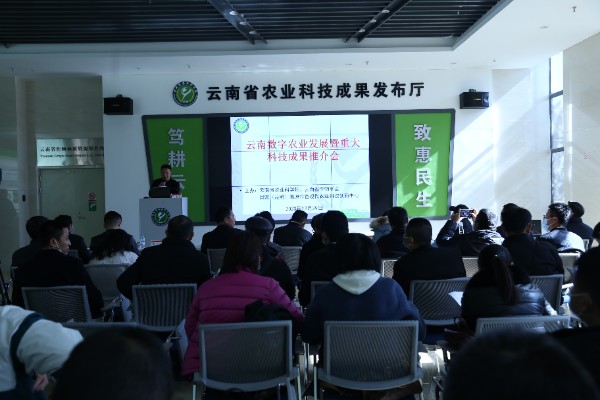 推介會現場 推介會現場