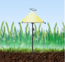 小麥畝穗數測量係統 小麥畝穗數測量係統