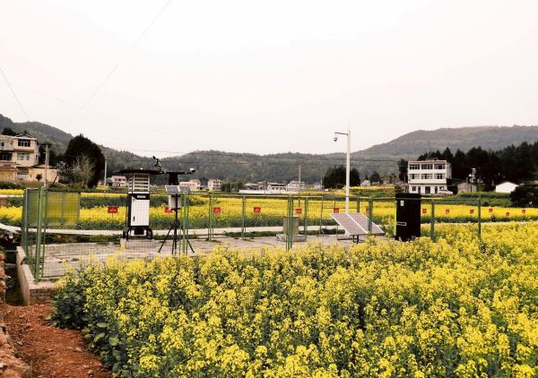 免费看片黄病蟲害監測點 免费看片黄病蟲害監測點