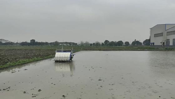 無人機噴灑 無人機噴灑