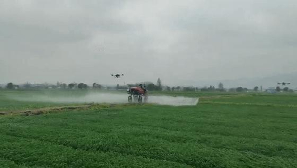 無人駕駛插秧機 無人駕駛插秧機