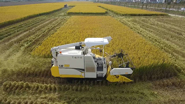 1628660905668575.jpg 圖片2.jpg