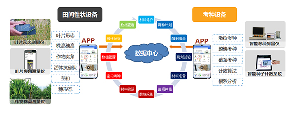 1629856328871752.jpg 2.jpg