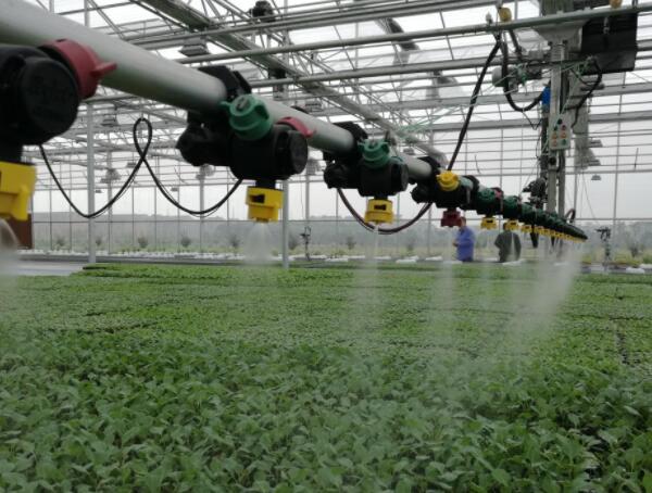 設施農業 設施農業