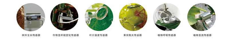 1641798474993674.jpg 水肥一體化設備植物本體傳感器_副本_副本.jpg