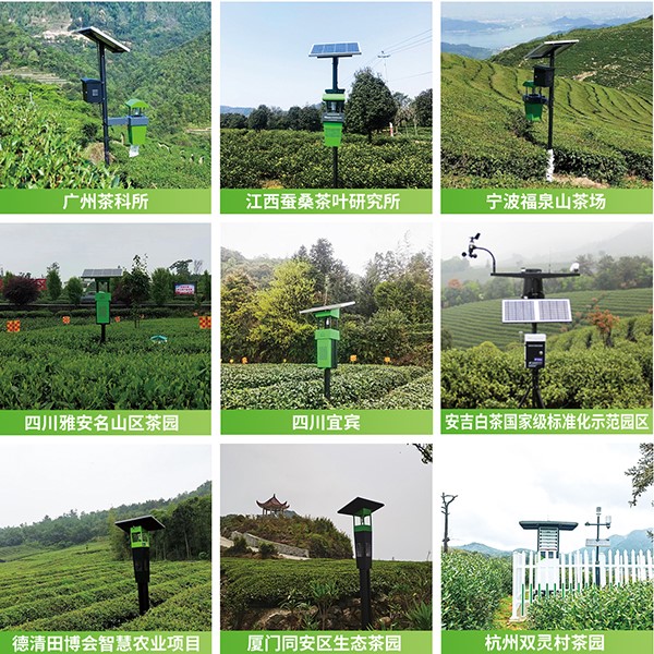 免费看片黄茶園綠色防控技術方案應用 免费看片黄茶園綠色防控技術方案應用