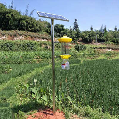 1669616188862140.jpg 11.jpg