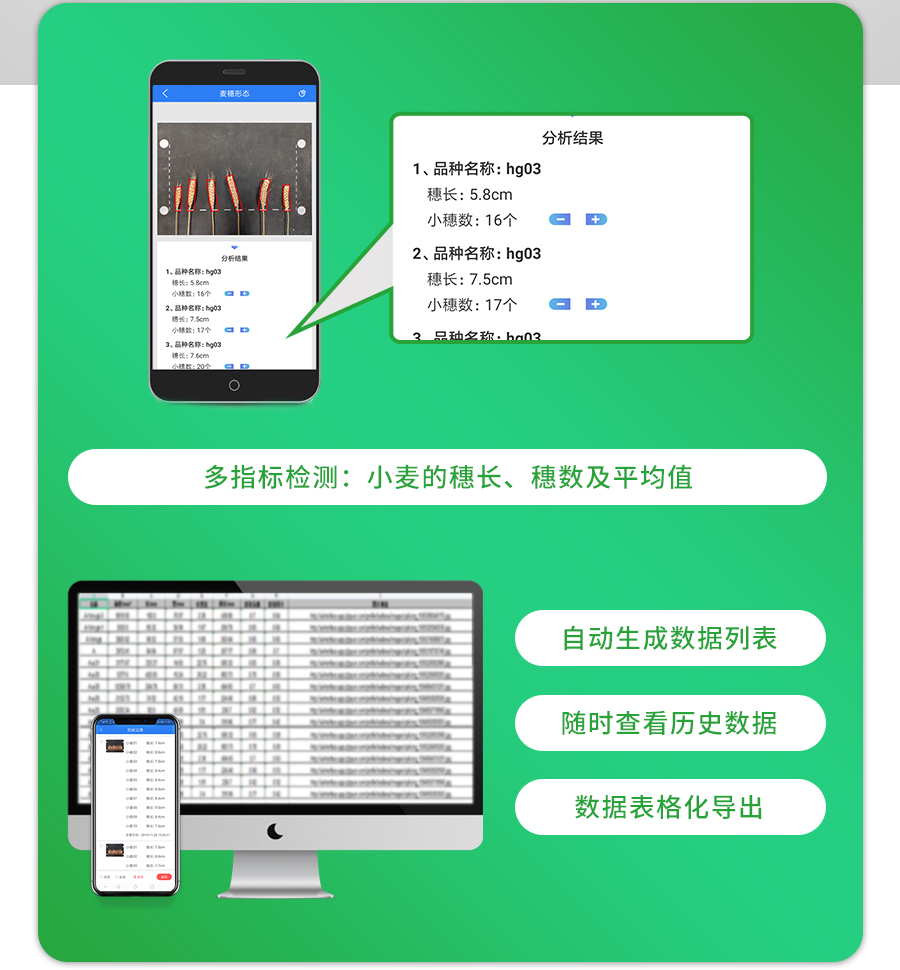 麥穗形態測量儀 麥穗形態測量儀