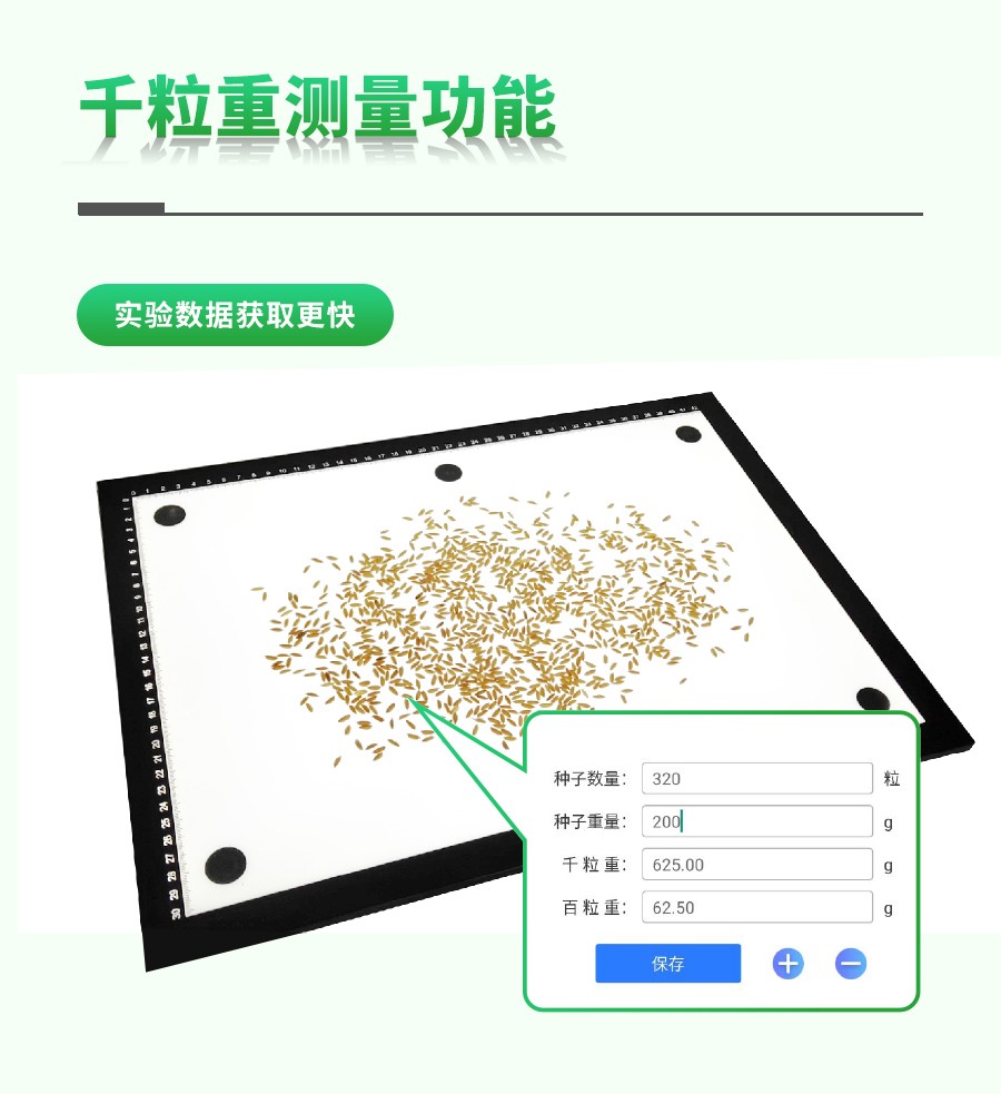 水稻整穗考種測量係統 水稻整穗考種測量係統