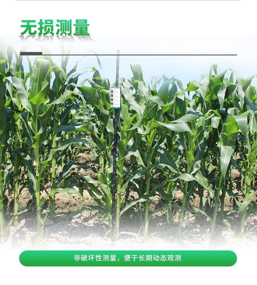 玉米株型分析係統 玉米株型分析係統