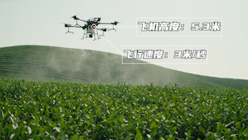 1684907320422697.png 圖片1.png