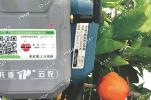 1685951592419041.jpg 6.jpg