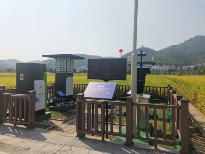 1695112458334651.jpg 3.jpg