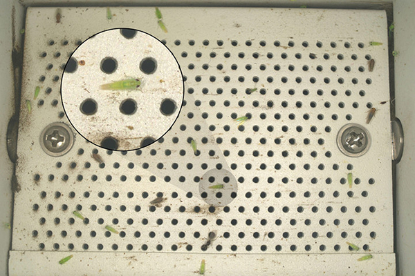 1695197149690176.jpg SEO用圖3.jpg