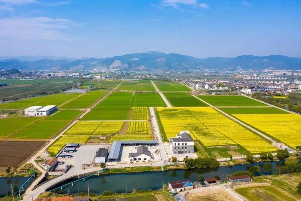 1698653049495943.jpg 4.jpg