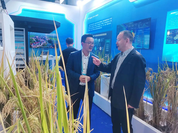 1699606661369889.jpg SEO用圖8.jpg