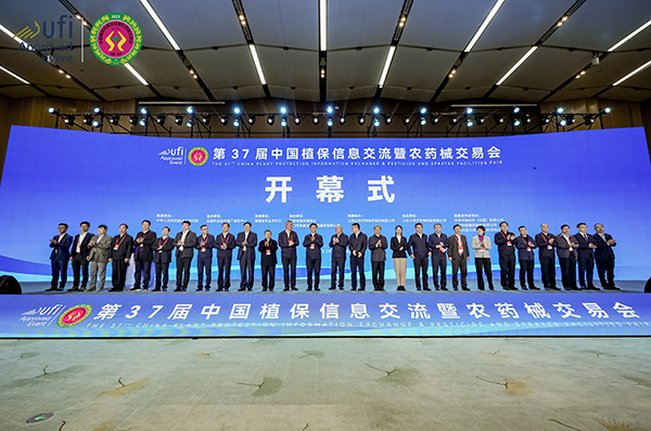 1700556229157170.jpg SEO 1.jpg