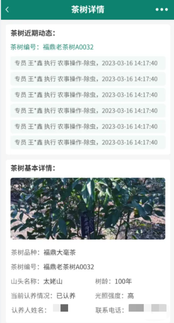 1716886384122121.png 8認養茶樹_副本.png