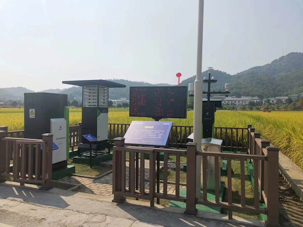 1721291252806950.jpg 8.jpg