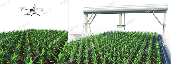 1724142652459581.jpg 3.jpg