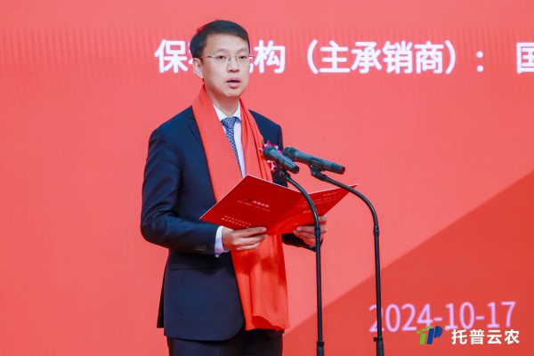 1729158165120803.jpg SEO (3).jpg